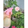 Buy cheap TS001 500ML plstic sprayer/garden/water/pressure/handle/agriculture/trigger from wholesalers