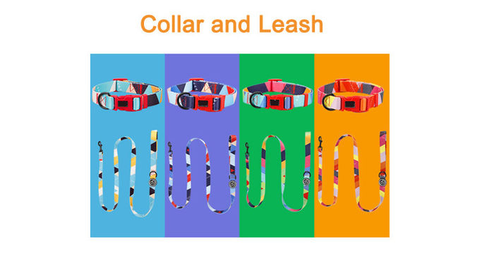 Nylon Rope Pet Collars Leashes Personalized Skin Friendly Metal Clasp Dog Collar S M L