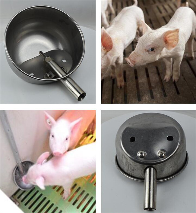 Stainless Steel Poultry Farm Equipment Automatic Drinker Pig Water Drinkers
