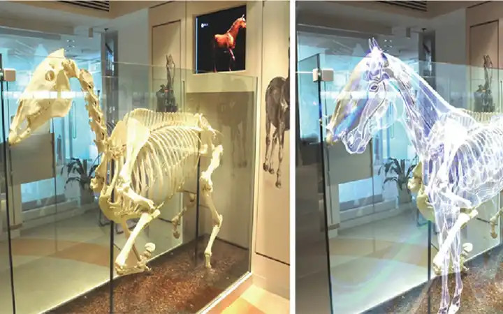 3D Rear Projection Film Gray Clear Holographic Film Creat Virtual Hologram Window Shop