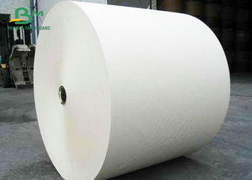 PE Coated SBS FBB Paper