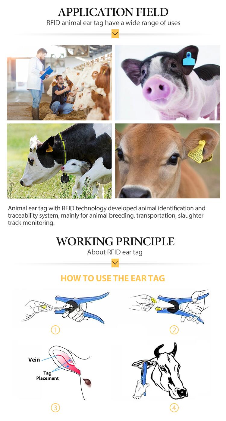 134.2KHZ animal tracking tag , RFID Ear Tag for Cattle Sheep Pig