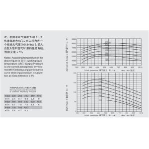 Energy Saving  Watering Vacuum Pumps Positive Displacement Pump Convenient Maintenance