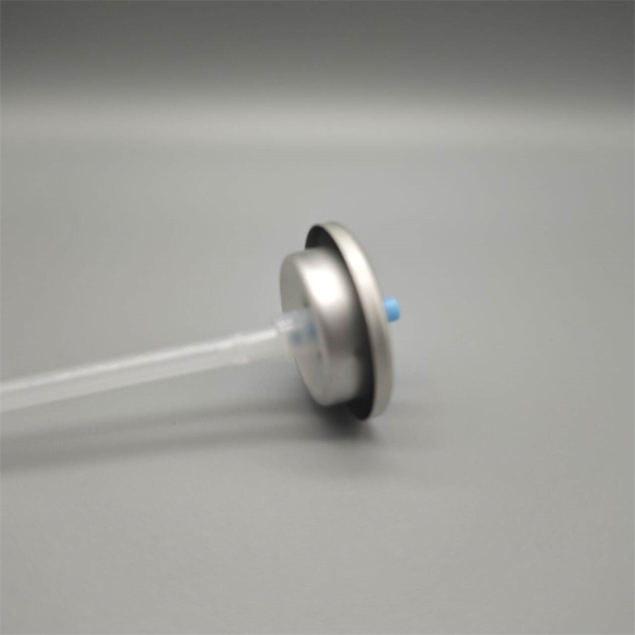 Compact Powder Spray Valve for Travel with Portable Design