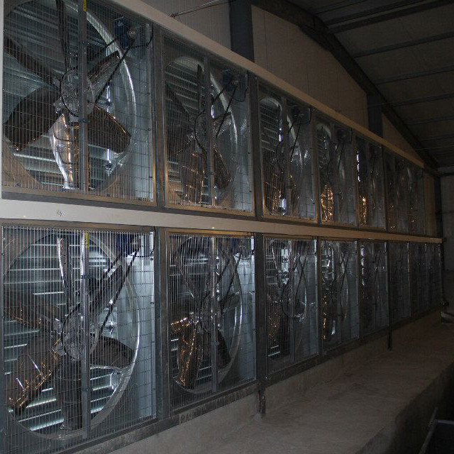 Running Feeder Battery Cage For Poultry , Custom Height Modern Chicken Cages