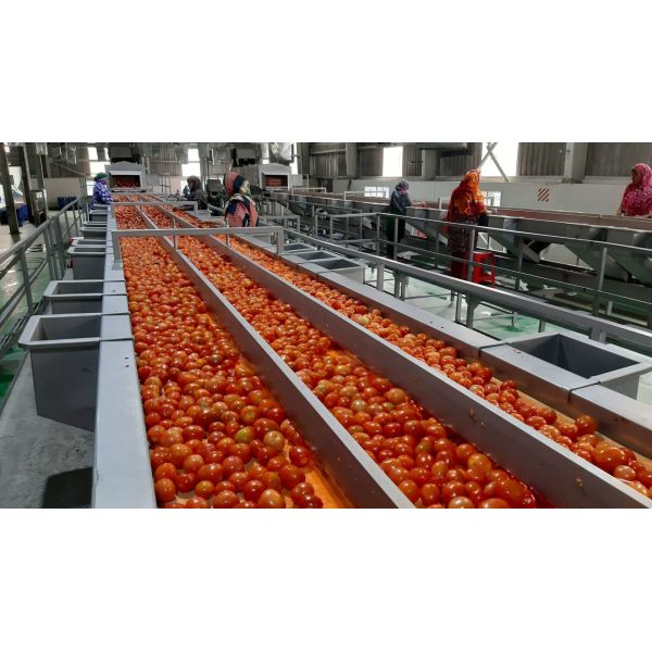 Quality Hot Sale Complete Customized Tomato Production Plant New Omate/Tomat Juice/Sauce/Pulp  Processing Machine With PLC SUS304/316 for sale