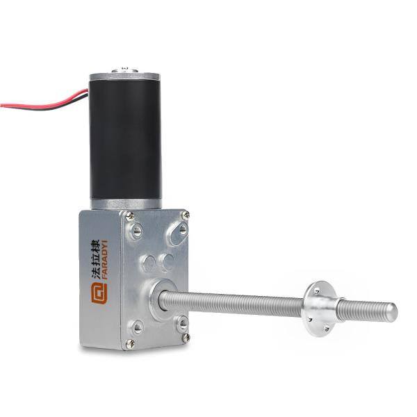 Faradyi Hot Sale 12V 24V High Torque Dual Shaft Customized Shaft Long Lifespan
