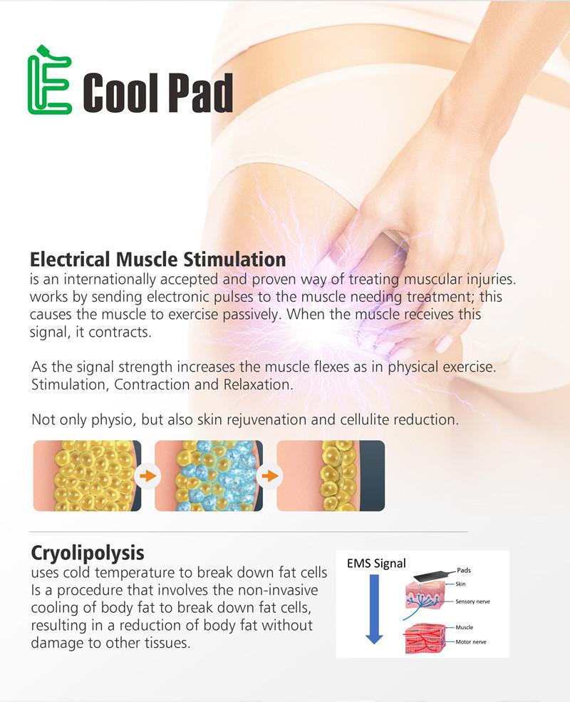 100V Four Applicators Cryolipolysis Fat Freeze Slimming Machine