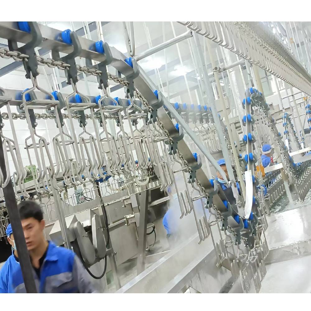 3400KG Halal Poultry Slaughterhouse Equipment Turkey Duck Broiler Chicken Processing