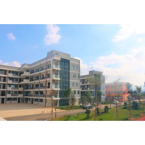 Low Maintenance Steel Structure Commercial Building Customization Possible And