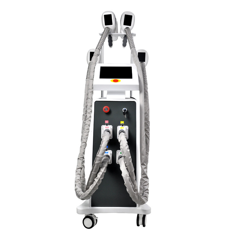 EMS Fat Freeze Cryolipolysis Slimming Machine 800W OEM
