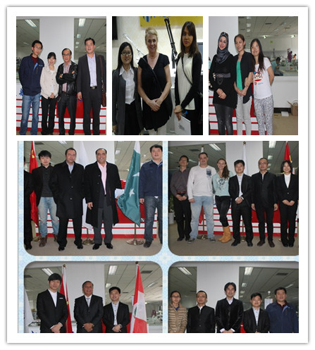Professional Operation System 4 handles cryolipolysis