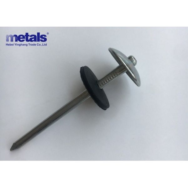 Quality Electro Galvanized Roofing Nails with Umbrella Head 25mm-152mm for sale