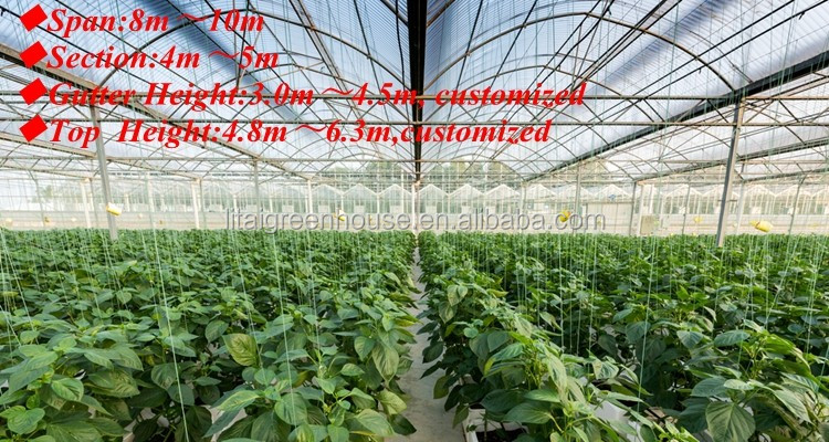 Film Covered Greenhouse for Agriculture in Namibia Affordable and Customizable Height