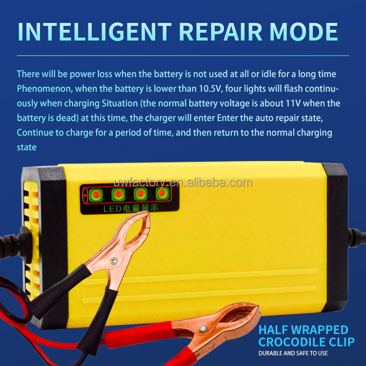 Private Mold 12V Pulse Repair Lead Acid Battery Charger with Fast Charging Speed and Temperature Control Compensation