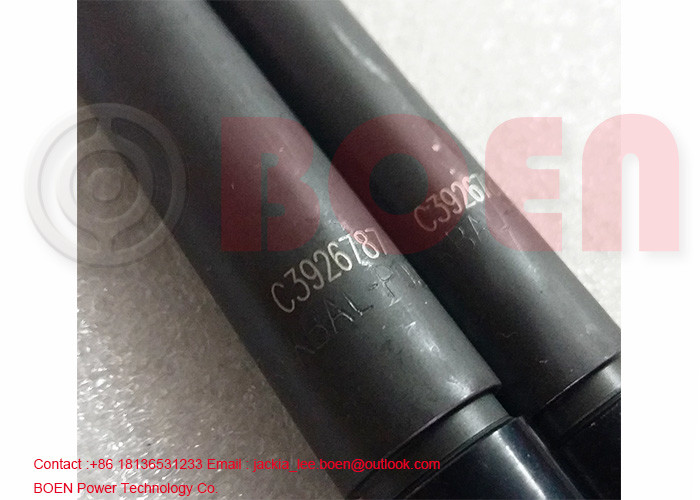Cummins B5.9 engine marine diesel engine fuel injector 4025334 4063321 4063212