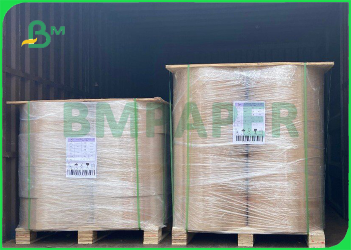 230gsm 250gsm C1S GC1 Cardboard For Shopping Bags Ivory White 860 x 620mm
