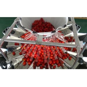 Plastic Tray Multihead Weigher Packing Machine Automatic Filling