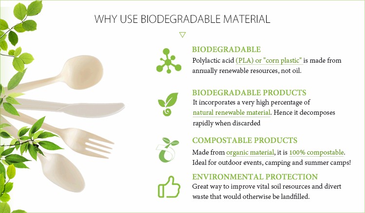 Wheat straw pulp based biodegradable disposable fast food packaging box