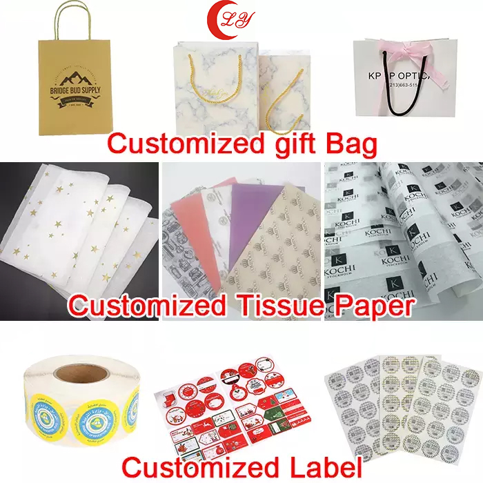 OEM Cloth Garments Shoes Paper Bag Custom Luxury Shopping Bags