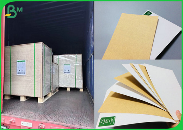 250gr 325gr Food Compliance White Coated Back Side Kraft Paper For Making Lunch Box  