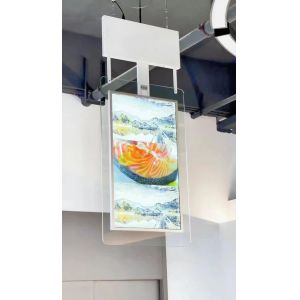  55 Inch Shop Window Digital Signage Display High Brightness LCD Screen Digital Signage Manufactures