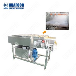 Automatic fruit and vegetable processing equipment Clean/peeled/dry/cut carrot