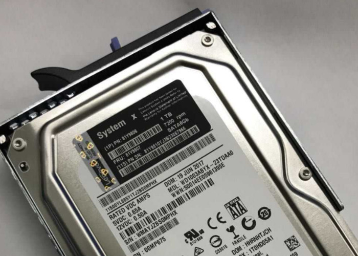 81Y9806 IBM Hard Disk 1T 7.2K SATA 3.5 Inch M4 81Y9808 Brand New Condition