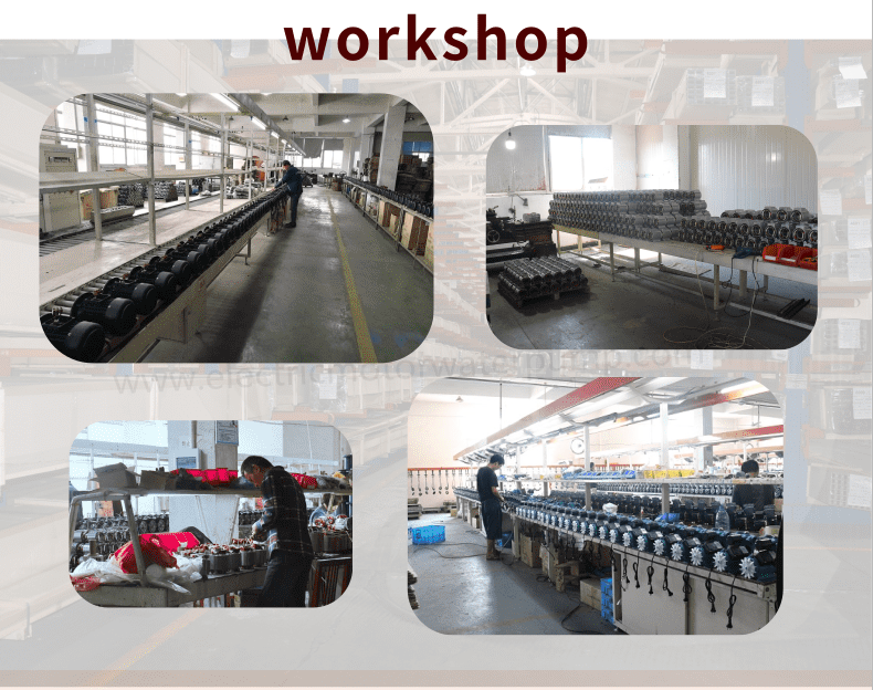 hydraulic motor