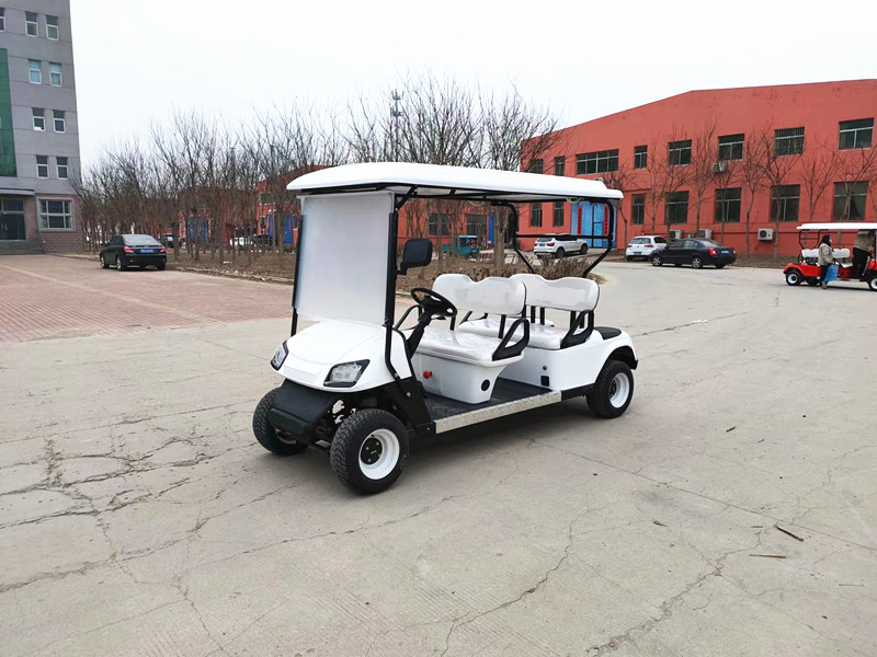 Left Hand Drive Electric Golf Buggy Lithium Battery Operated Golf Carts 2-10 Seats