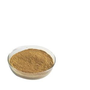 China Artificial 18% Banaba Leaf Extract Corosolic Acid Food Grade on sale