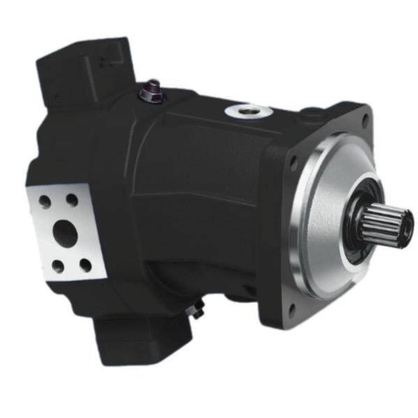 Cast Iron Rexroth Axial Piston A6VM Motor 250cc Displacement for Construction
