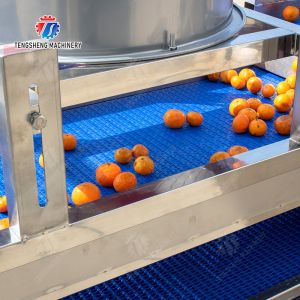 vegetable drying equipment Fruit and vegetable selection washing and drying
