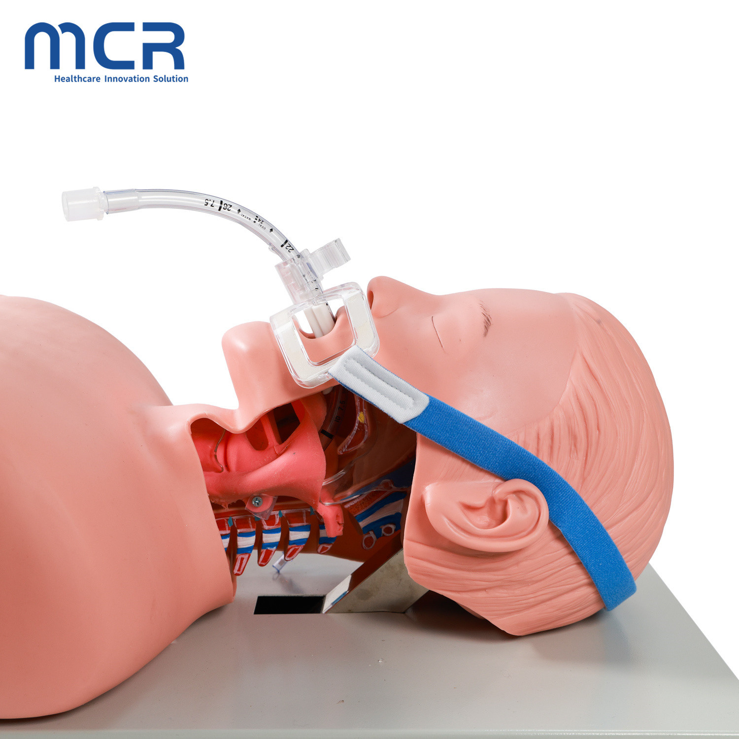 Sterile Disposable Medical Tracheal Endotracheal Tube Holder