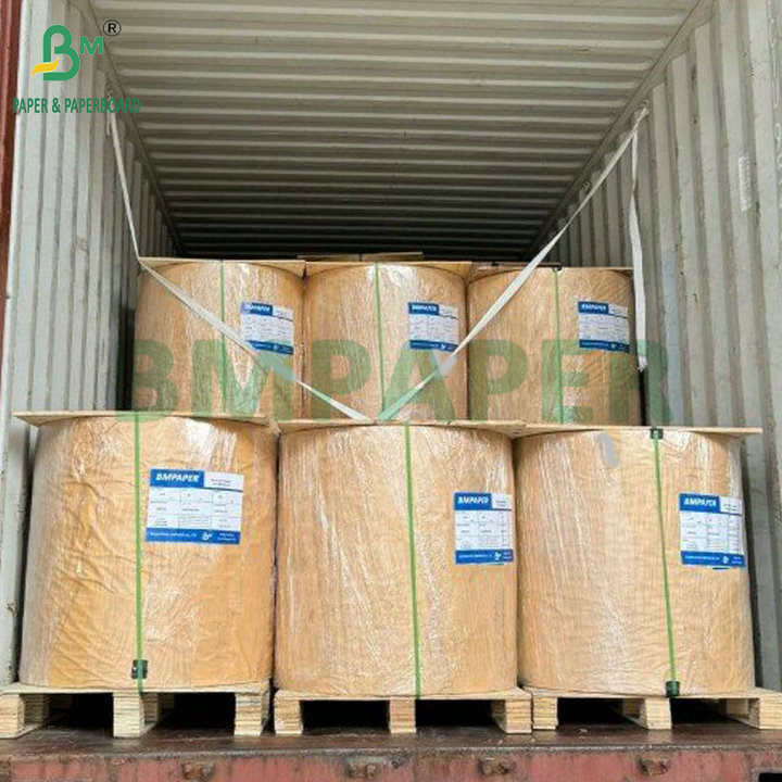 185gsm 210gsm White Kraft PE Coated Cup Paper For Making Paper Drink Cups
