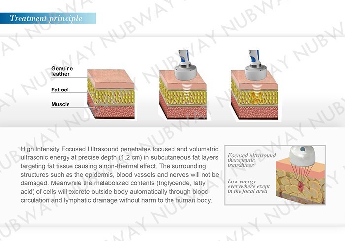 HIFUSHAPE body slimming machine mesotherapy fat removal injections