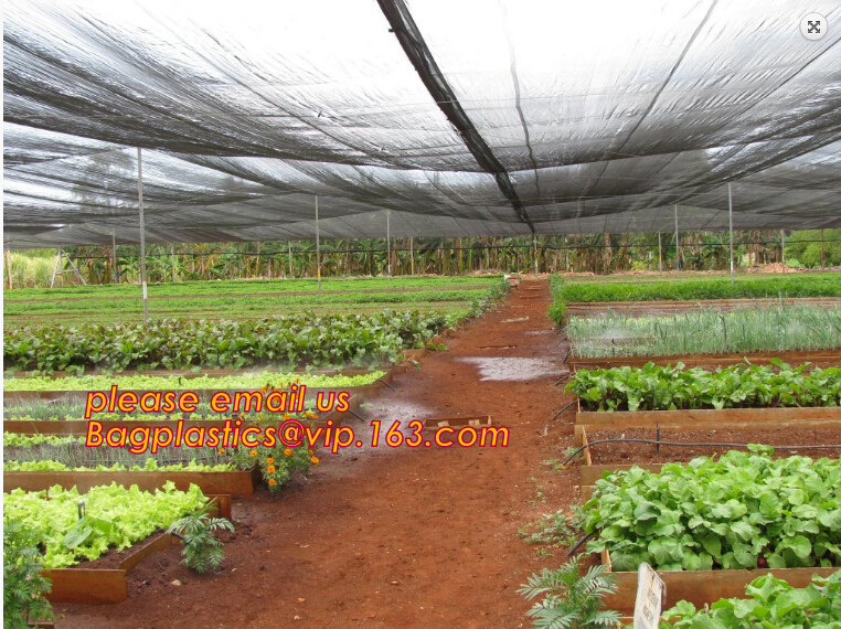 PE safety net for building and construction debris safety net,Safety Nets for Construction Safety 120g Construction Buil