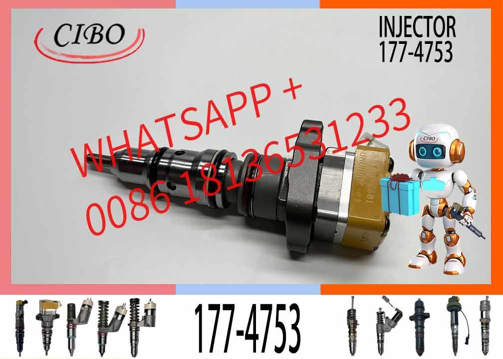 Excavator Injector 178-6343 1786343 177-4753 1774753 177-4752 1774752 171-9704 for 3126 Engine Parts Diesel Nozzle Assem