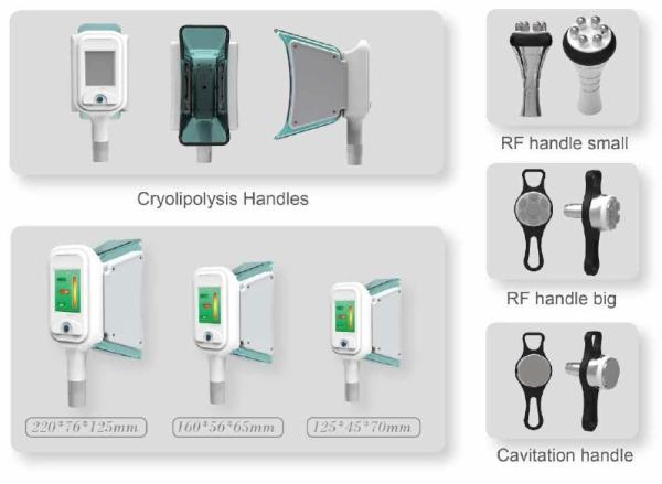 Professional best price cool sculpting body slimming weight loss cryolipolysis