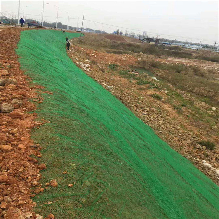 14mm Thickness HDPE Reinforced 3D Geomat The Best Service for Your Construction Needs