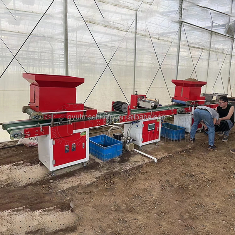 7 Rows Vegetable Tray Seeding Machine for Good Economic Benefits and Easy Operation