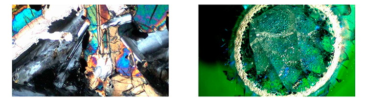 Comparison Polarizing Light Microscope Transmitted Light Microscopes CE A15.1019