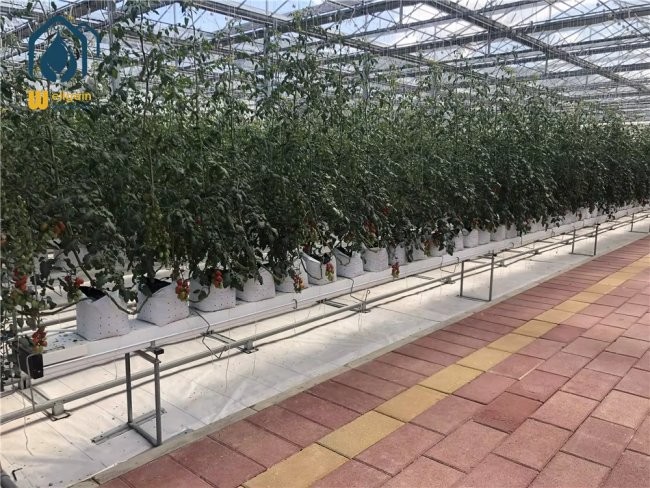 Agricultural Substrate Planting Gutter Steel Large Scale Hydroponic Planting System