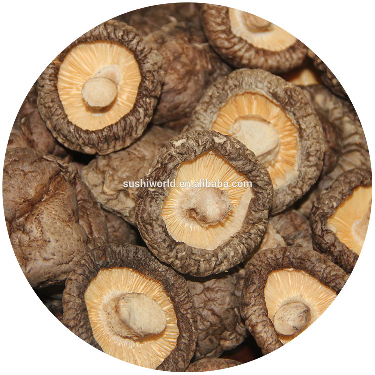 Brown Lions Mane Mushroom Extract Dried Shiitake Mushroom 1kg/bag