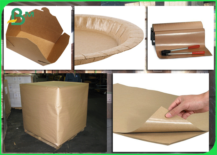 Food Grade PE Coated Natural Virgin Kraft Paper for Paper plate 350gsm