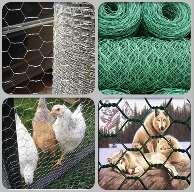 25mm Green Black Vinyl Coated Chicken Wire Fencing 1in 20 Gauge Poultry Netting