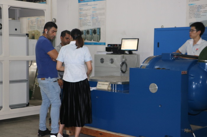 Customized Vibration Random Testing Equipment Max Acceleration 100 G 50Mm