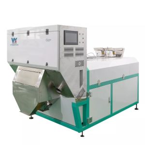  High Quality Intelligent WYB2 Belt Garlic Color Sorter with High Accuracy Wifi Remote Control with CE Certificate Manufactures