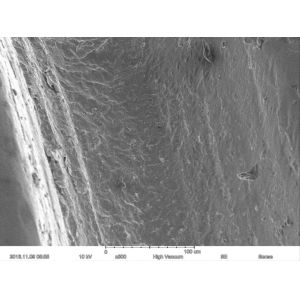 Magnification Max 60000X Scanning Electron Microscope 15nm Resolution Optional