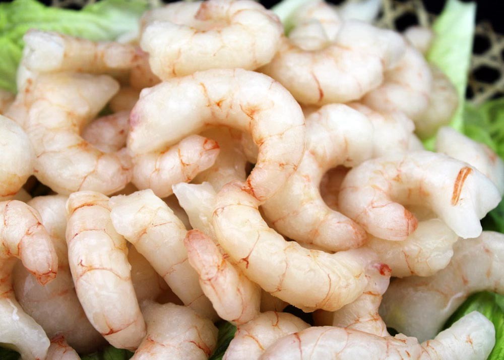 White Color Frozen Red Shrimp Pud / Solenocera Melantho Shrimp No Additives